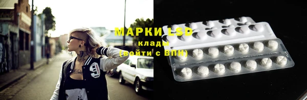 прущие грибы Михайловск
