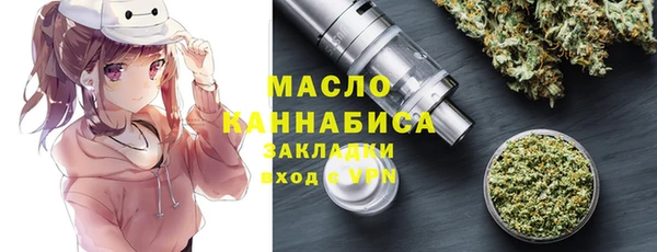 гидра Верхний Тагил