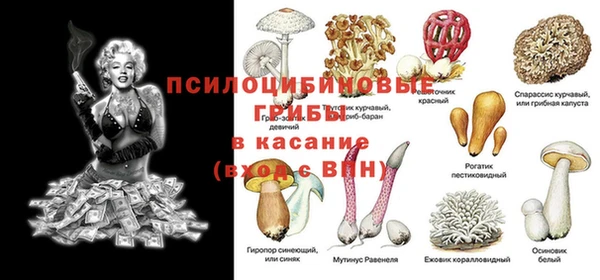 прущая мука Михайлов