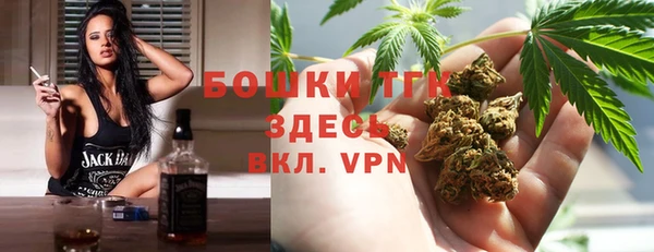 PSILOCYBIN Бородино